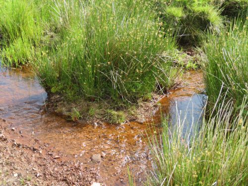15.-Downstream-from-Exehead