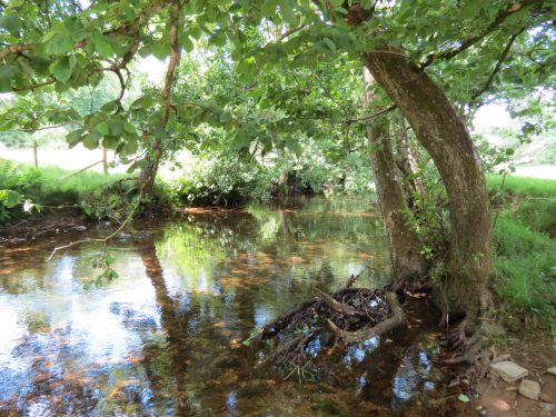 15.-Downstream-from-Ford-B-4