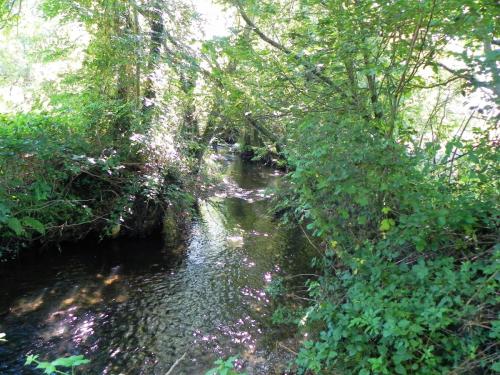 15.-Downstream-from-Gardeners-Bridge-2