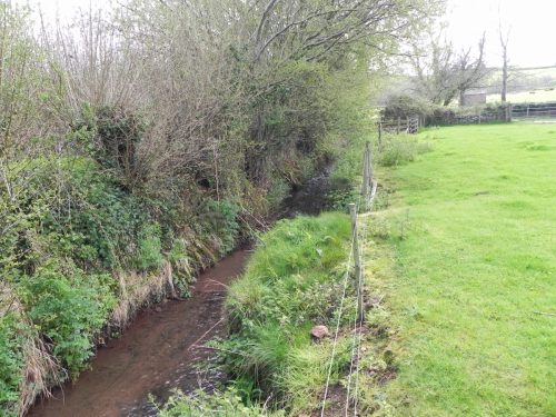15.-Downstream-from-Holt-Bridge