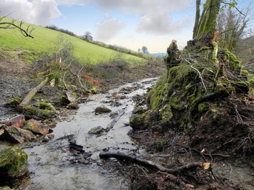 15.-Downstream-from-Little-Ash-Combe-2