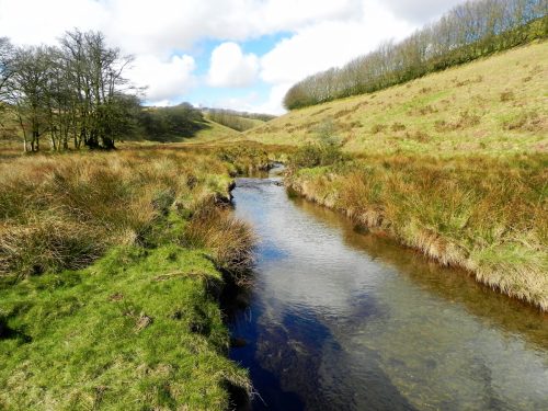 15.-Downstream-from-Long-Holcombe-Water-2