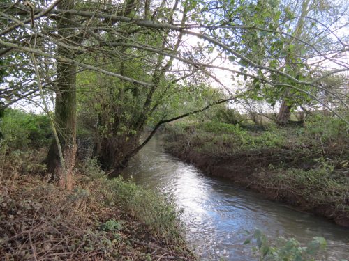 15.-Downstream-from-Longaller-Mill-accommodation-Bridge