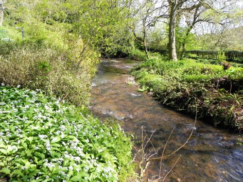 15.-Downstream-from-Lovers-Bridge-2