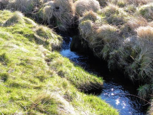 15.-Downstream-from-Madacombe-Bridge-2