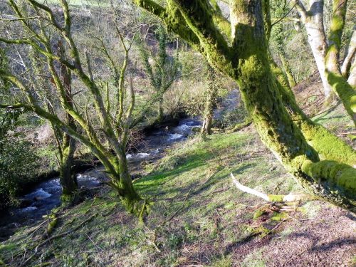 15.-Downstream-from-ROW-Bridge-2119-2