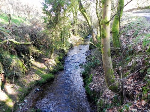 15.-Downstream-from-Robbers-Bridge-2