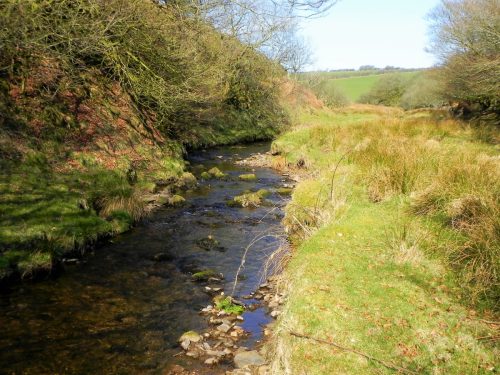 15.-Downstream-from-Upper-Willingford-Bridge-2