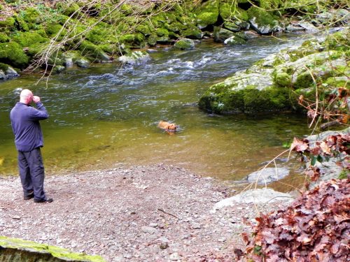 15.-Enjoying-a-swim-near-Myrtleberry-2