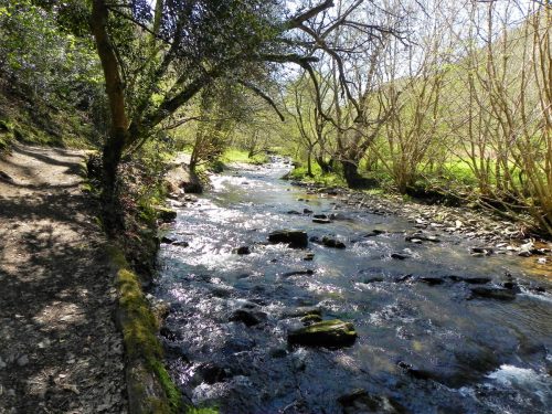15.-Flowing-below-Heddon-Mouth-Wood-2