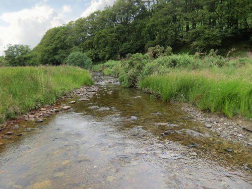 15.-Flowing-beneath-Ware-Ball-upstream-from-Westermill-1