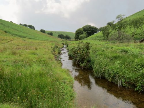 15.-Flowing-beneath-Ware-Ball-upstream-from-Westermill-10