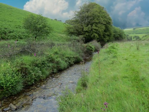 15.-Flowing-beneath-Ware-Ball-upstream-from-Westermill-12