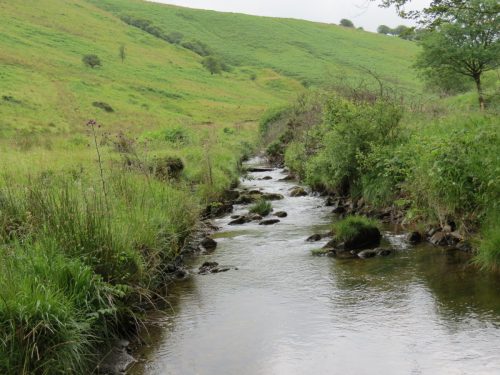 15.-Flowing-beneath-Ware-Ball-upstream-from-Westermill-13