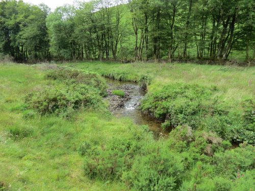 15.-Flowing-beneath-Ware-Ball-upstream-from-Westermill-15
