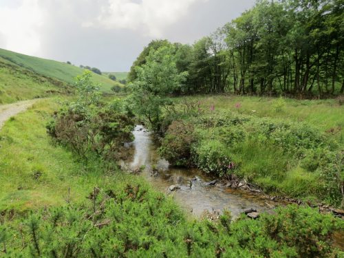 15.-Flowing-beneath-Ware-Ball-upstream-from-Westermill-16