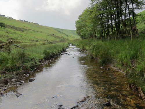 15.-Flowing-beneath-Ware-Ball-upstream-from-Westermill-17