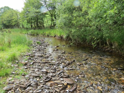 15.-Flowing-beneath-Ware-Ball-upstream-from-Westermill-18