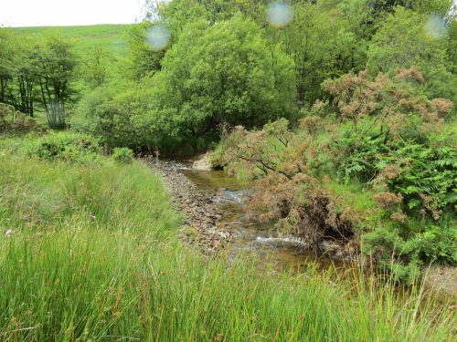15.-Flowing-beneath-Ware-Ball-upstream-from-Westermill-19