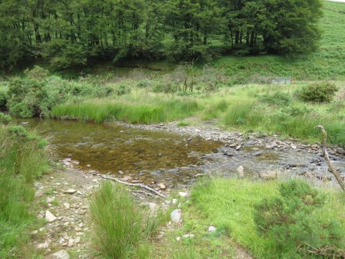 15.-Flowing-beneath-Ware-Ball-upstream-from-Westermill-2