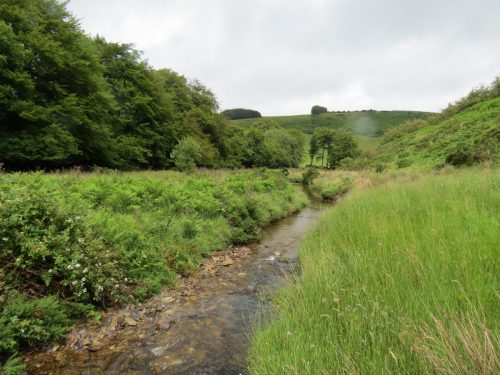 15.-Flowing-beneath-Ware-Ball-upstream-from-Westermill-20