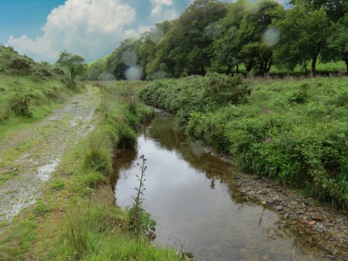 15.-Flowing-beneath-Ware-Ball-upstream-from-Westermill-24