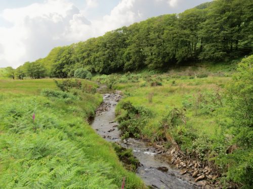 15.-Flowing-beneath-Ware-Ball-upstream-from-Westermill-3