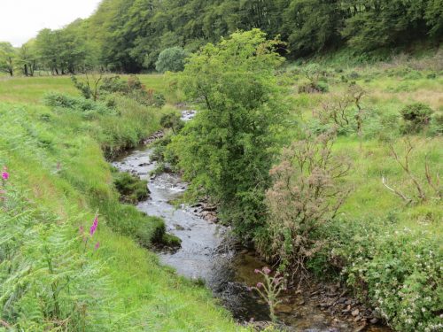 15.-Flowing-beneath-Ware-Ball-upstream-from-Westermill-4