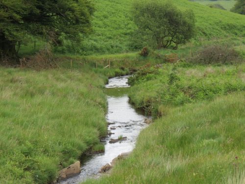 15.-Flowing-beneath-Ware-Ball-upstream-from-Westermill-5