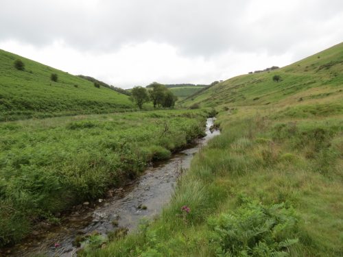 15.-Flowing-beneath-Ware-Ball-upstream-from-Westermill-7