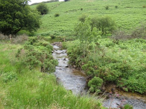 15.-Flowing-beneath-Ware-Ball-upstream-from-Westermill-8