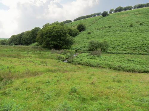 15.-Flowing-beneath-Ware-Ball-upstream-from-Westermill-9