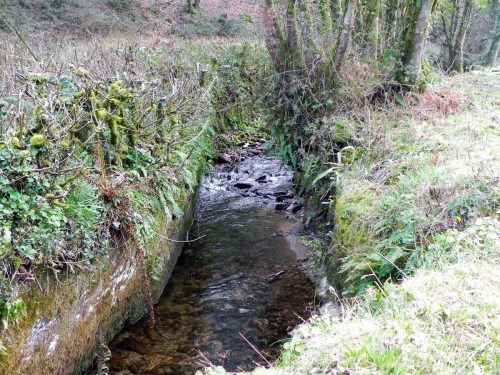15.-Flowing-by-Timber-Wood-2