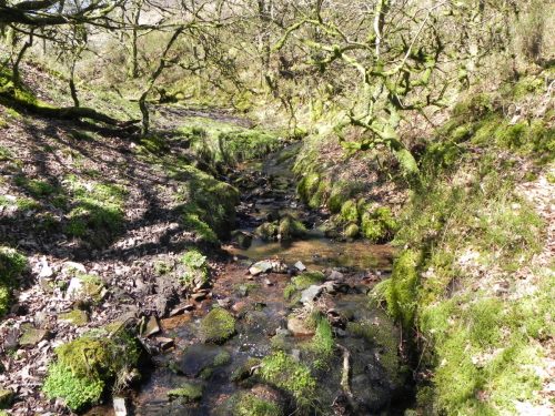 15.-Flowing-down-Hawkcombe