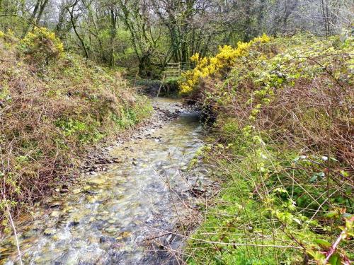 15.-Flowing-near-the-disused-Lynton-Barnstable-track-bed-2