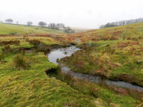 15.-Flowing-through-Long-Combe-2