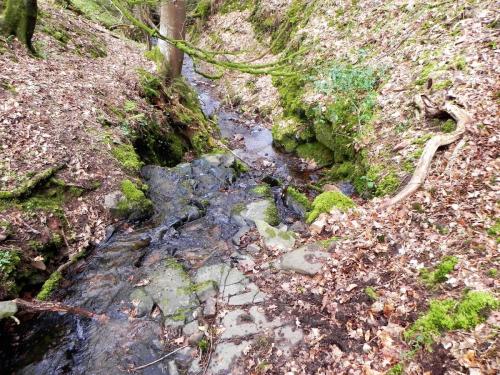 15.-Flowing-through-Luccombe-Plantation-2
