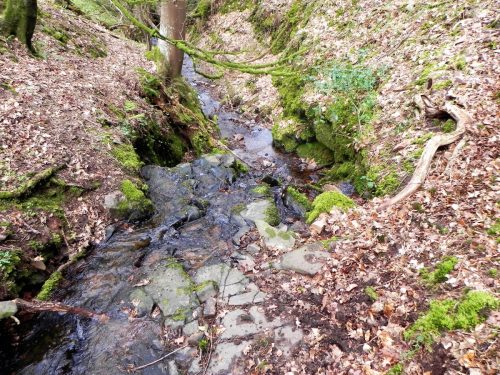 15.-Flowing-through-Luccombe-Plantation-2