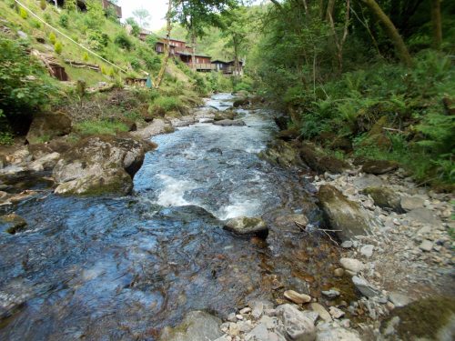 15.-Flowing-through-Lyn-Wood-1