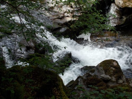 15.-Flowing-through-Lyn-Wood-2