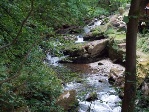 15.-Flowing-through-Lyn-Wood-3