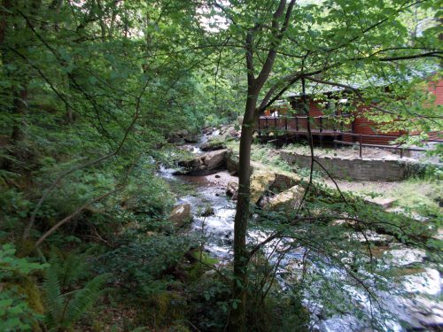 15.-Flowing-through-Lyn-Wood-4