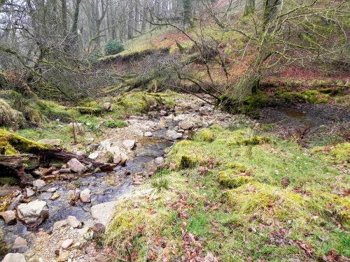 15.-Flowing-through-Mansley-Combe-2