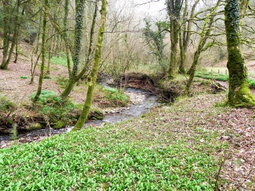 15.-Flowing-through-Snowdrop-Valley-2