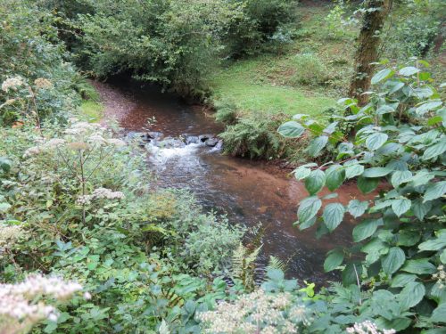 15.-Flowing-through-the-grounds-of-Manor-Mill