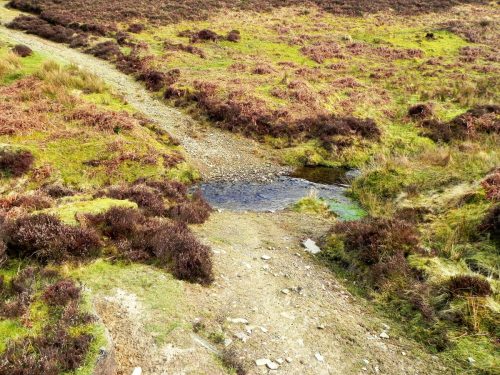 15.-Ford-below-Black-Berrow-2
