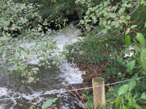 15.-Greenham-Weir