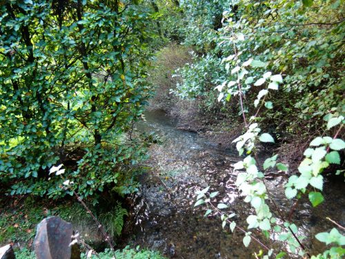 15.-Looking-downstream-from-Church-Bridge-2