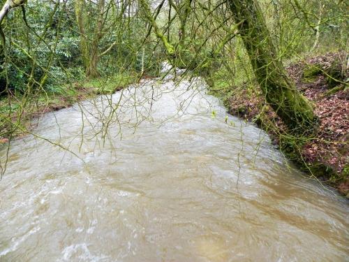 15.-Looking-downstream-from-Cleeve-Copse-ROW-Bridge-2