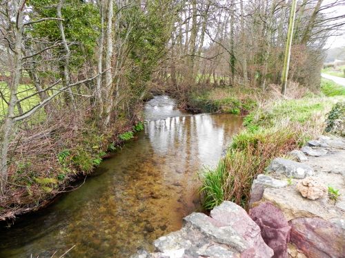 15.-Looking-downstream-from-Ford-Bridge-2